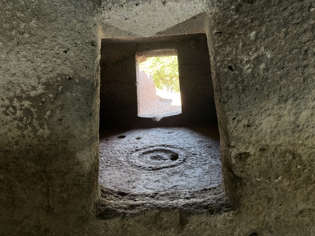 Scoperte tre nuove domus de janas: salgono a 20 gli ipogei di S. Andrea Priu a Bonorva