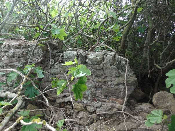 Rovine romane Biunis