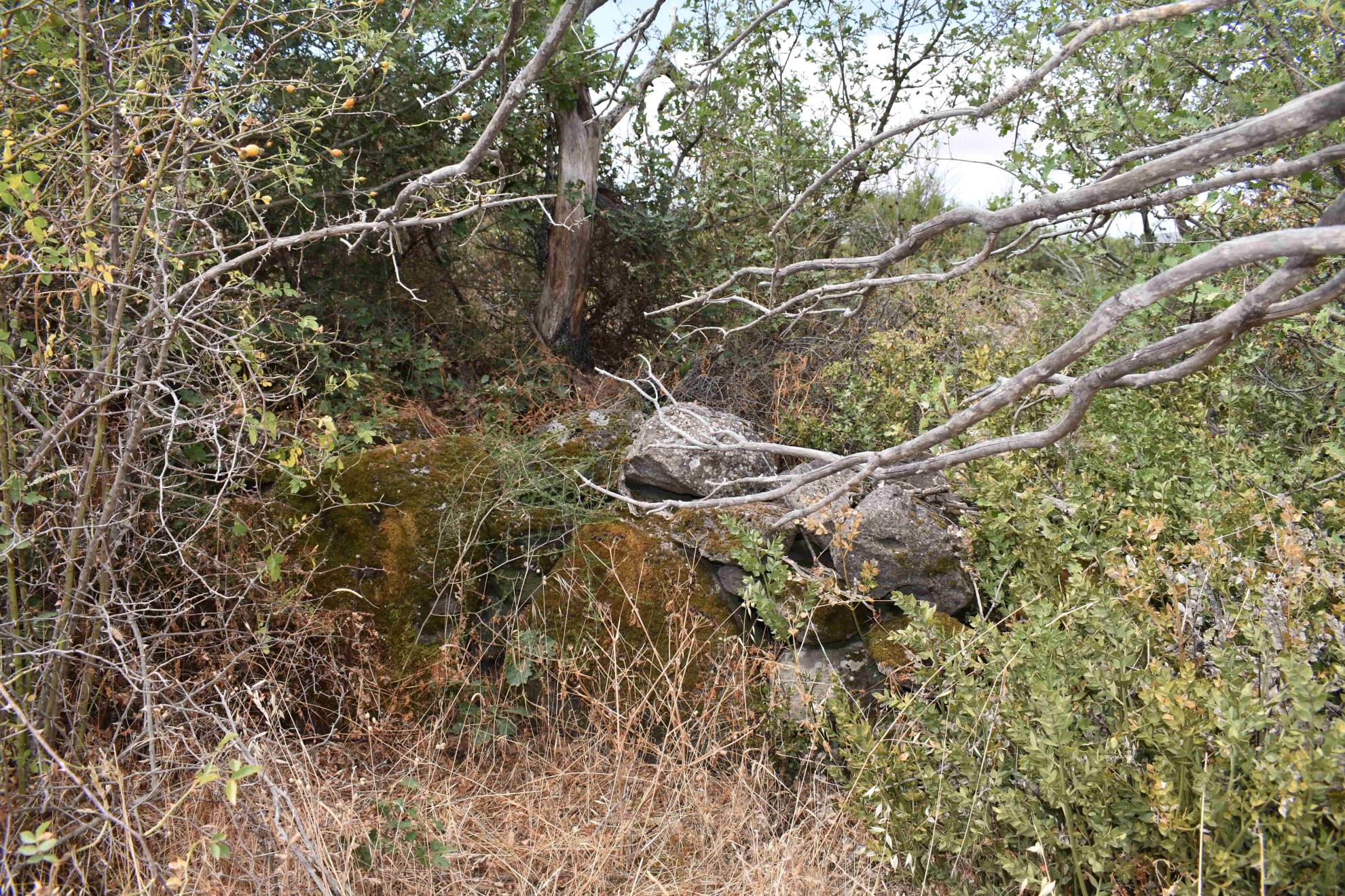 Nuraghe Baraci